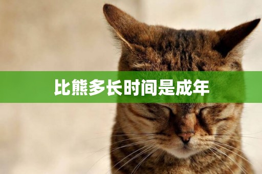 比熊多長時間是成年