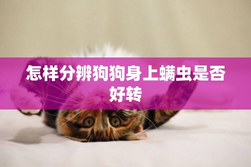怎樣分辨狗狗身上螨蟲是否好轉