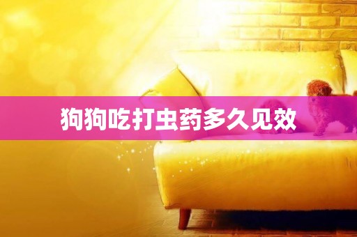 狗狗吃打蟲藥多久見效