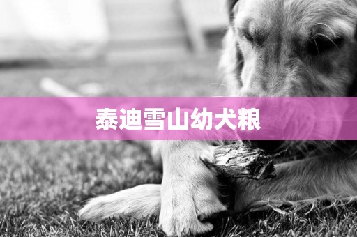 泰迪雪山幼犬糧