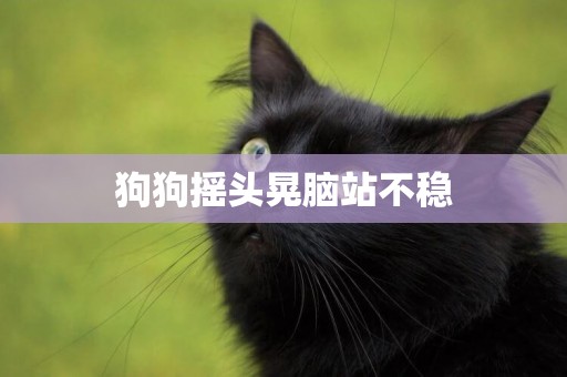 狗狗搖頭晃腦站不穩