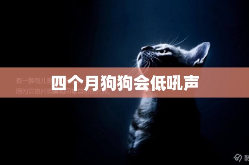 四個月狗狗會低吼聲