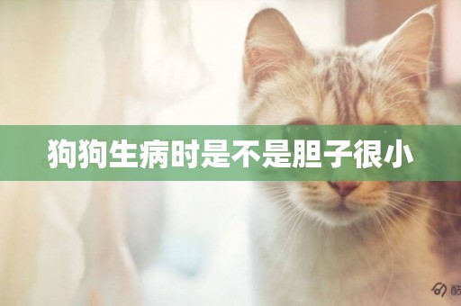 狗狗生病時是不是膽子很小