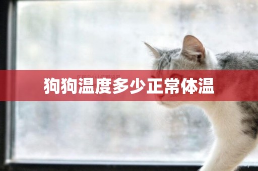 狗狗溫度多少正常體溫