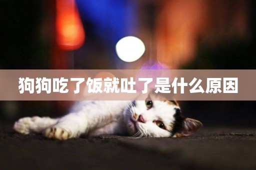 狗狗吃了飯就吐了是什么原因