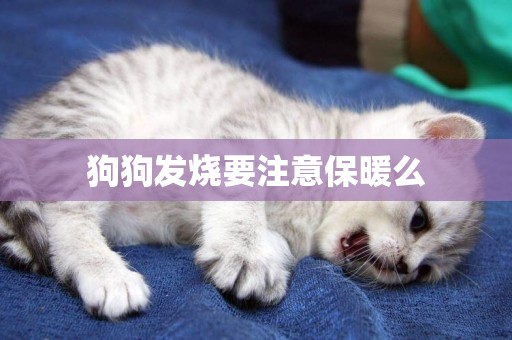 狗狗發燒要注意保暖么