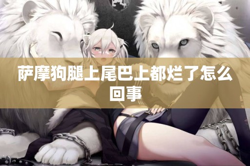 薩摩狗腿上尾巴上都爛了怎么回事