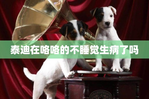 泰迪在咯咯的不睡覺生病了嗎