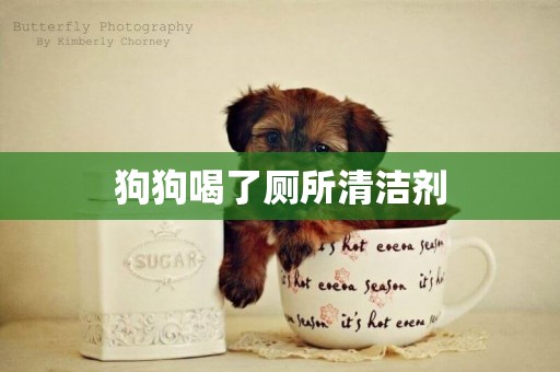 狗狗喝了廁所清潔劑