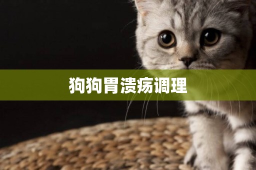 狗狗胃潰瘍調理