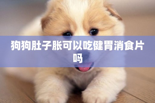 狗狗肚子脹可以吃健胃消食片嗎