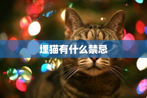 埋貓有什么禁忌