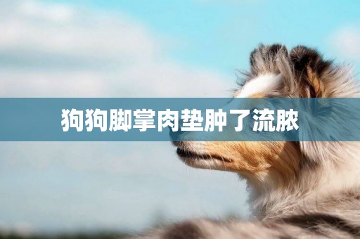 狗狗腳掌肉墊腫了流膿