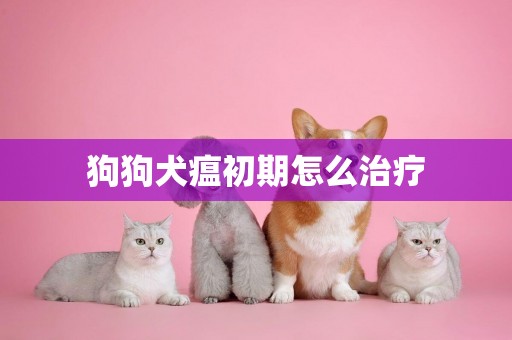 狗狗犬瘟初期怎么治療