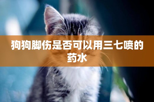 狗狗腳傷是否可以用三七噴的藥水