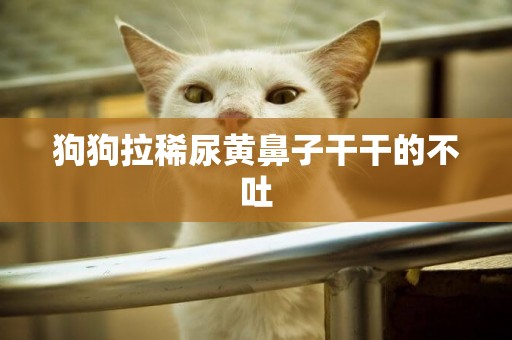 狗狗拉稀尿黃鼻子干干的不吐