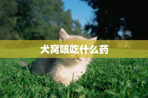犬窩咳吃什么藥