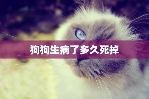 狗狗生病了多久死掉