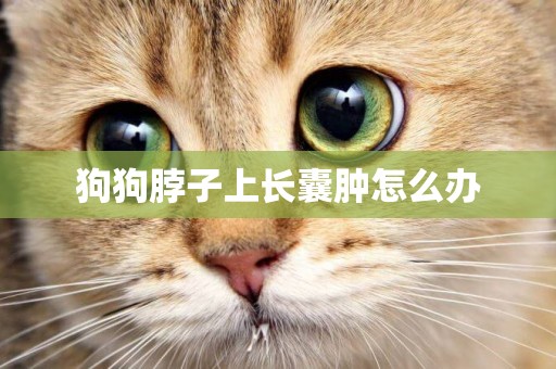 狗狗脖子上長囊腫怎么辦