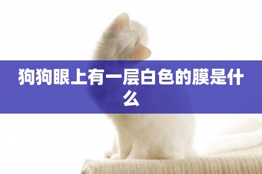 狗狗眼上有一層白色的膜是什么