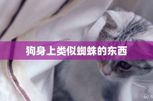 狗身上類似蜘蛛的東西