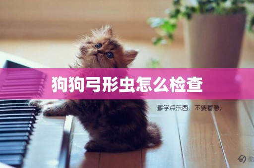 狗狗弓形蟲怎么檢查