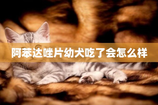 阿苯達唑片幼犬吃了會怎么樣