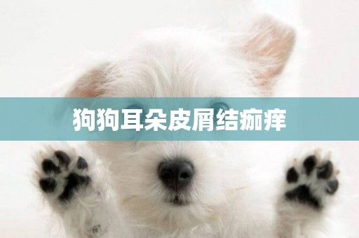 狗狗耳朵皮屑結痂癢