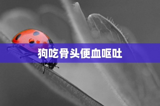 狗吃骨頭便血嘔吐
