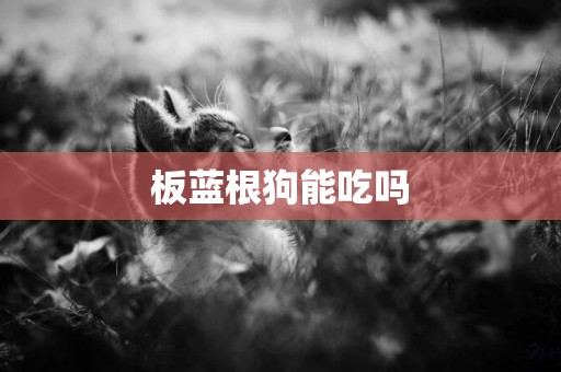 板藍根狗能吃嗎