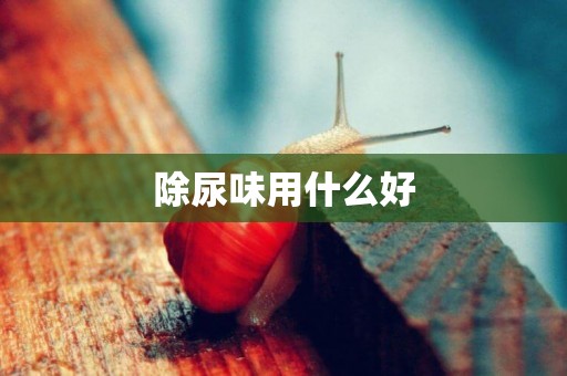 除尿味用什么好