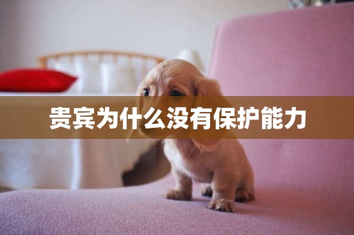 貴賓為什么沒有保護能力