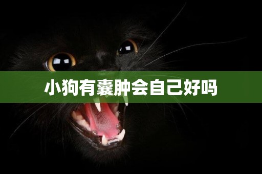 小狗有囊腫會自己好嗎
