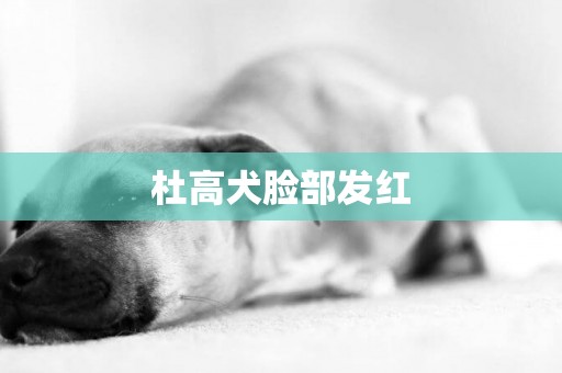 杜高犬臉部發紅