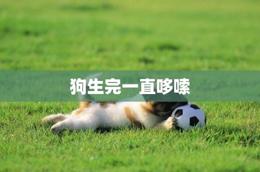 狗生完一直哆嗦