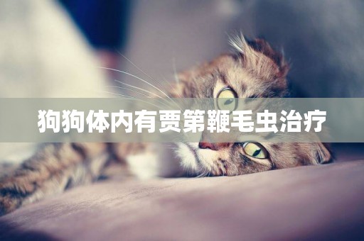 狗狗體內有賈第鞭毛蟲治療