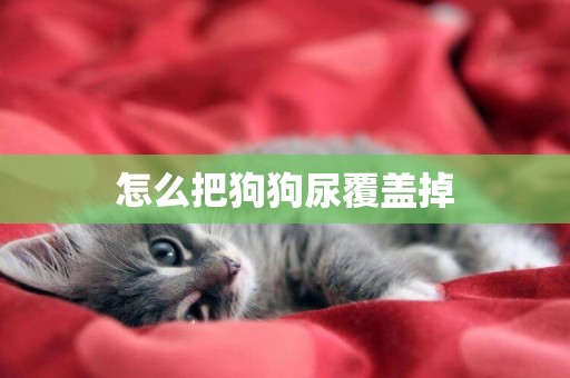 怎么把狗狗尿覆蓋掉
