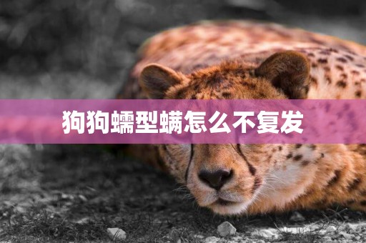 狗狗蠕型螨怎么不復發