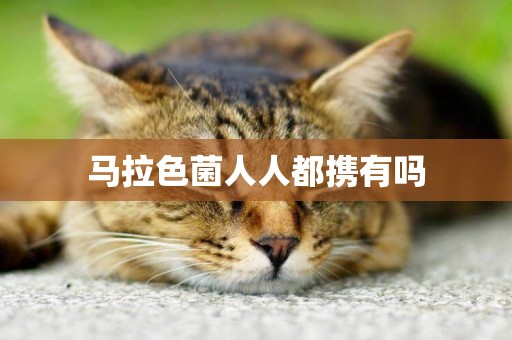 馬拉色菌人人都攜有嗎