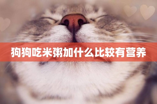 狗狗吃米粥加什么比較有營養