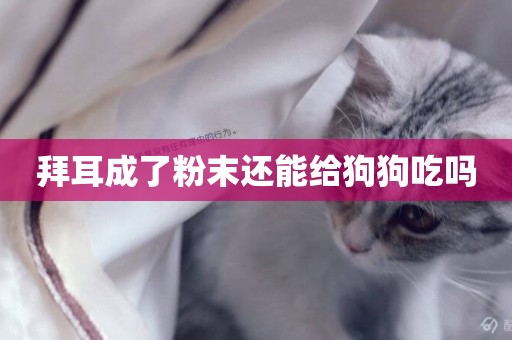 拜耳成了粉末還能給狗狗吃嗎