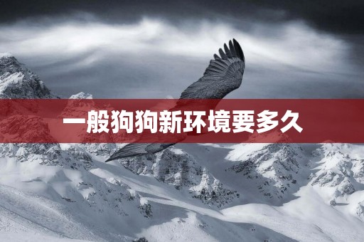 一般狗狗新環境要多久