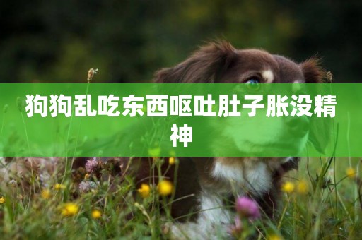 狗狗亂吃東西嘔吐肚子脹沒精神