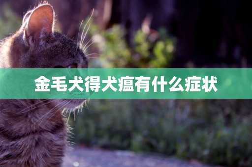 金毛犬得犬瘟有什么癥狀
