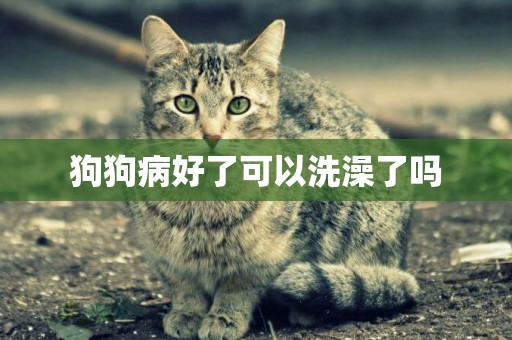 狗狗病好了可以洗澡了嗎