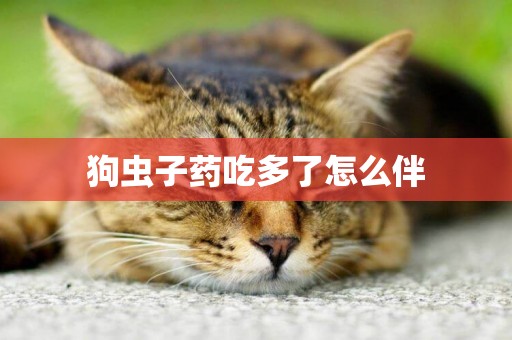 狗蟲子藥吃多了怎么伴