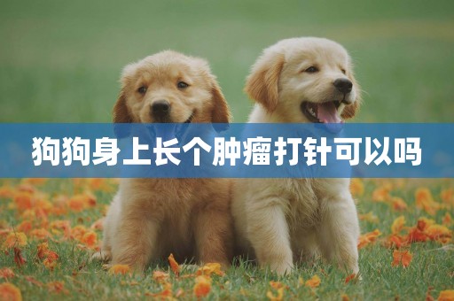狗狗身上長個腫瘤打針可以嗎