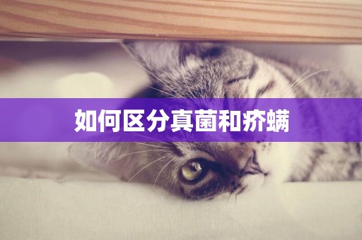 如何區分真菌和疥螨