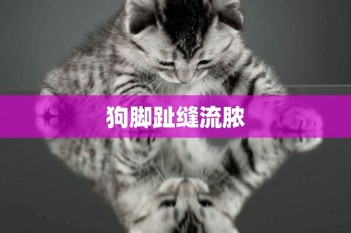 狗腳趾縫流膿