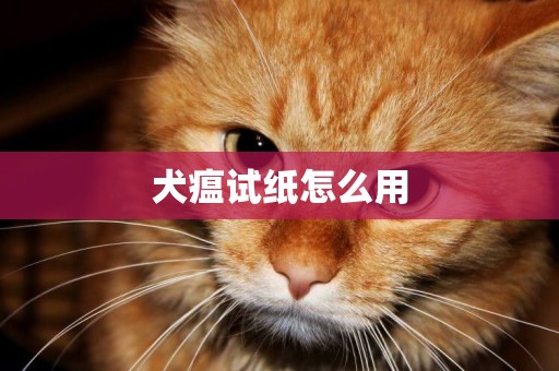 犬瘟試紙怎么用